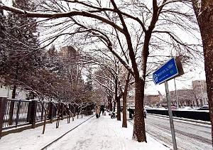 2023 12 PEKIN- UNIVERSITE LANGUES ETRANGERES SOUS LA NEIGE (5)